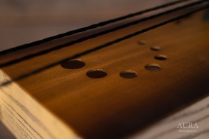 Aura Tagelharpa Cello detail